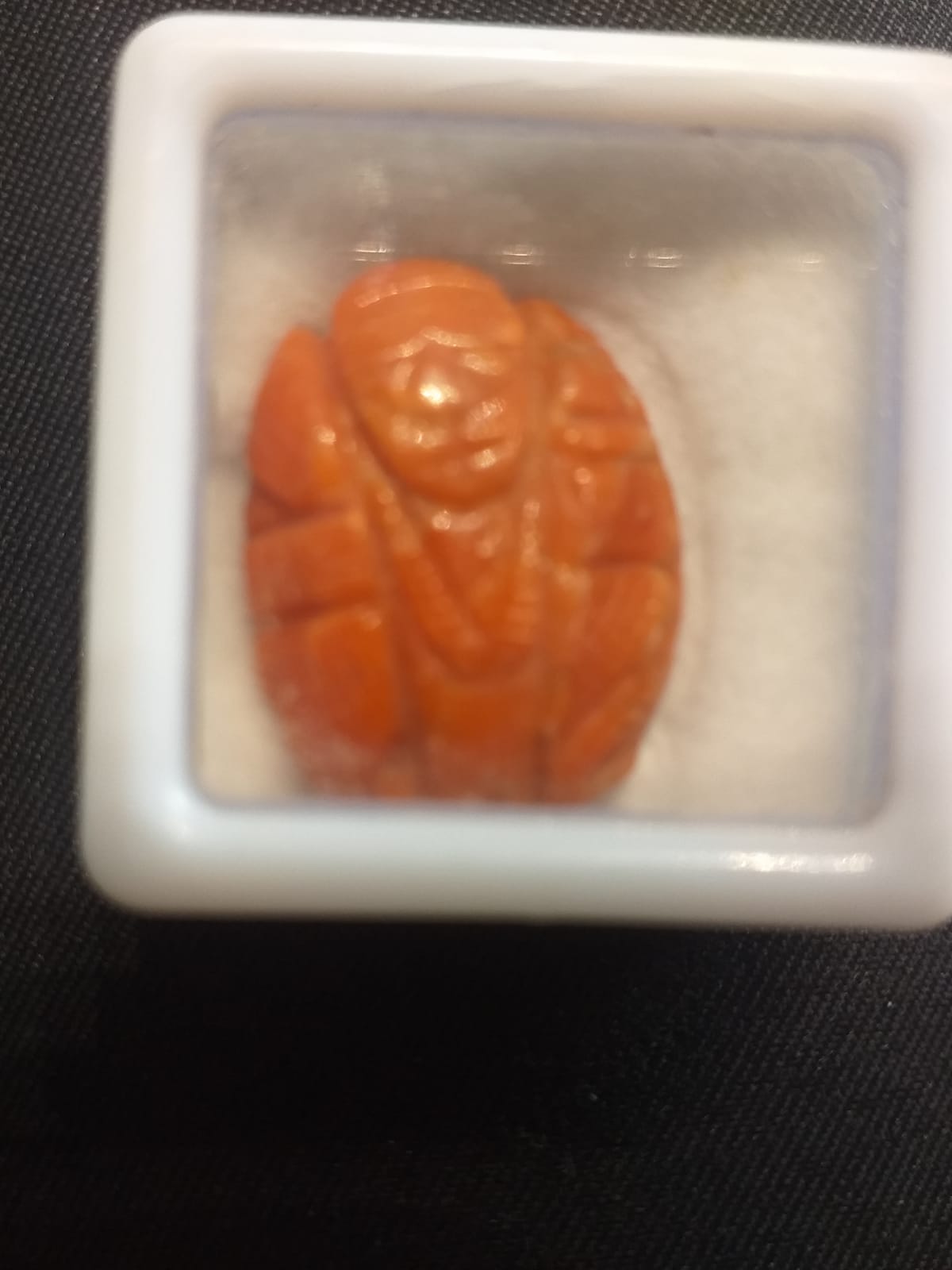 Coral