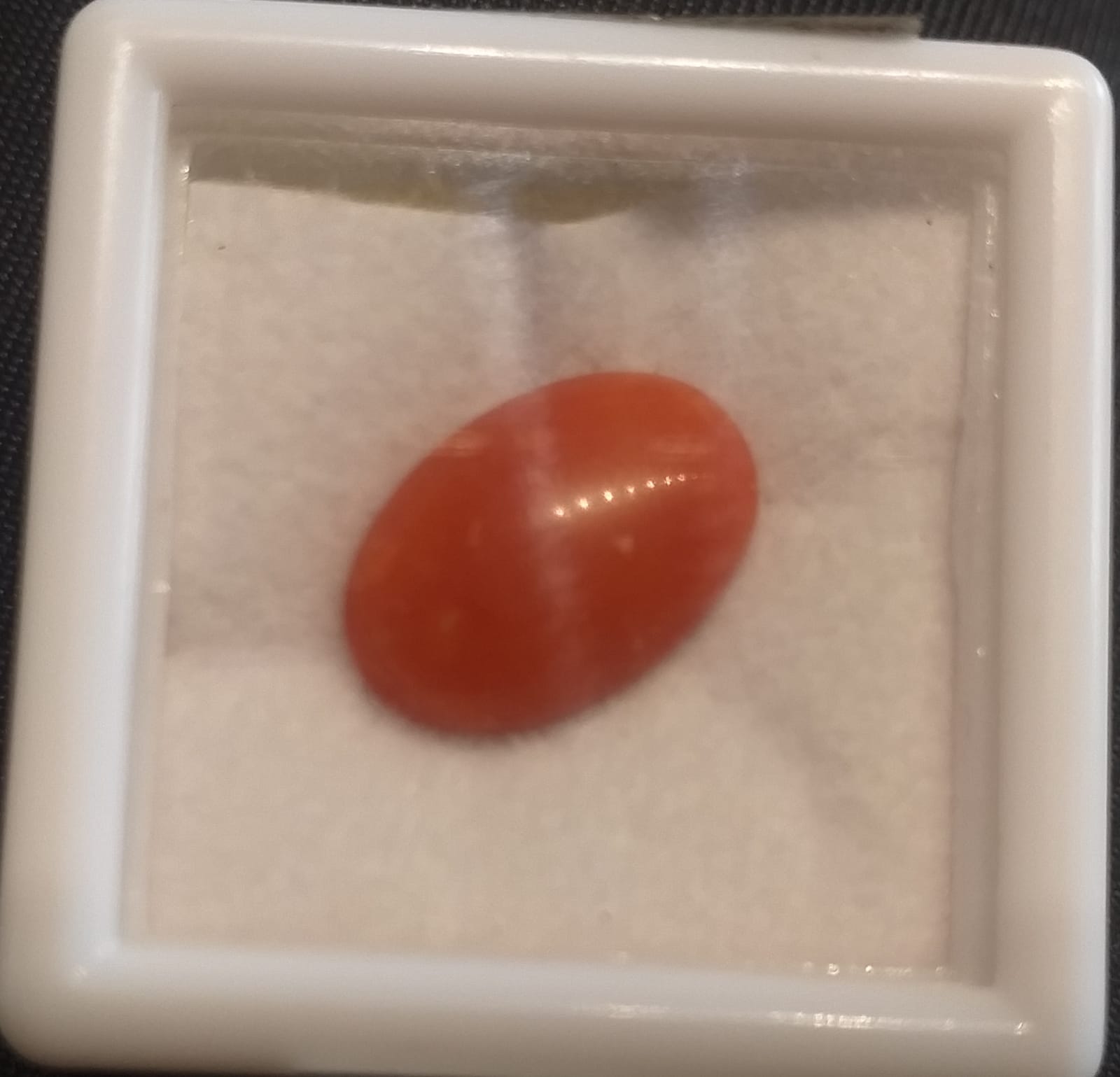 Natural Coral
